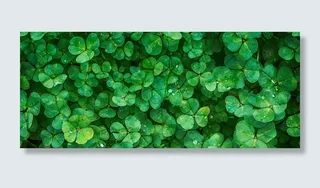 三叶草背景高清