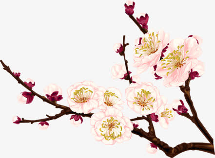 粉色高清花朵新年树枝免抠