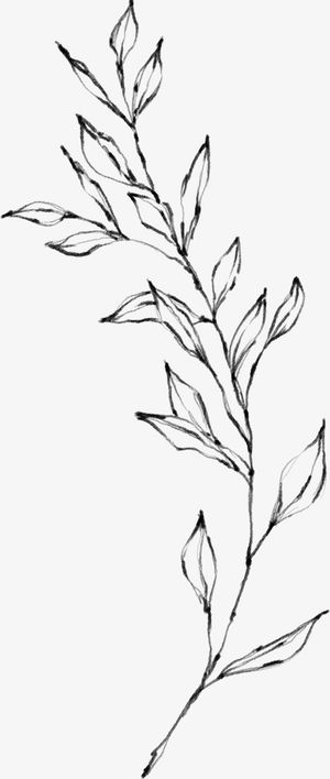 植物元素啊2免抠