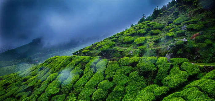 乡村田园风背景图高清