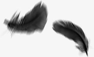 创意飘在空中的羽毛效果免抠