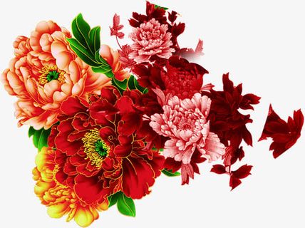 牡丹花国庆节元素免抠
