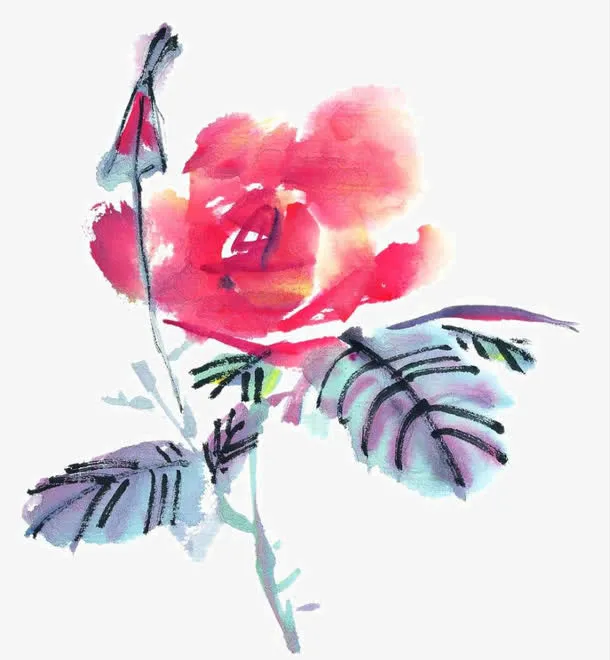 水墨花卉免抠