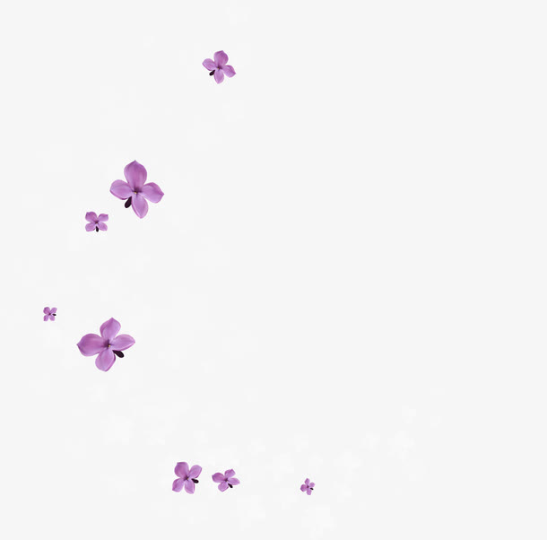 漂浮紫色花瓣免抠