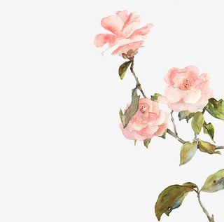 水墨淡粉花朵免抠