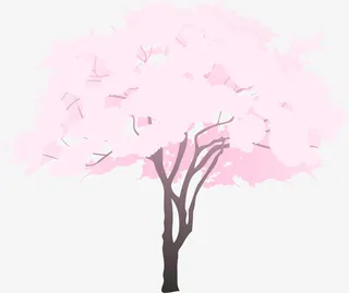 粉色美丽春季花树免抠