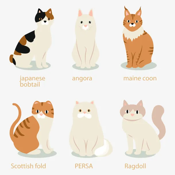 可爱猫咪设计矢量素材免抠