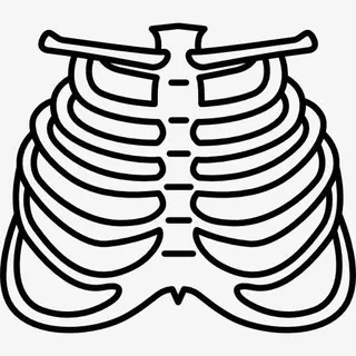 人的肋骨图标免抠