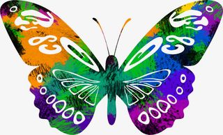 时尚彩色春天蝴蝶免抠装饰动物元素