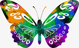 时尚彩色春天蝴蝶免抠装饰动物元素