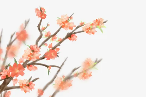 春天樱花装饰元素树枝免抠手绘/卡通手绘元素 春天樱花装饰元素树枝免抠手绘/卡通手绘元素