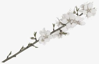 质感纹理背景复古花纹