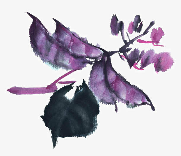 紫色梅豆免抠