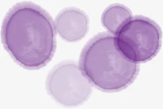 紫色唯美光晕图片免抠