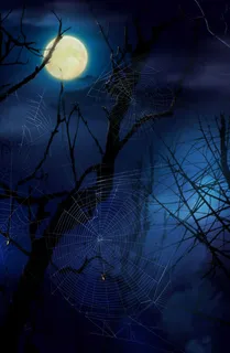 阴暗恐怖夜晚免抠