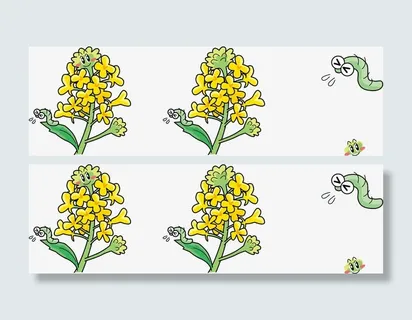 手绘油菜花免抠