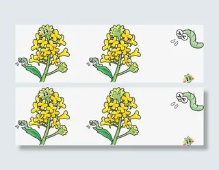 手绘油菜花免抠