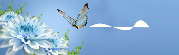夏花唯美背景banner　