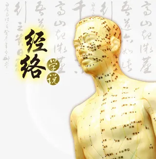 中医经络学说免抠