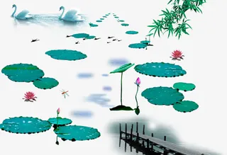 荷叶莲花鹅大集合免抠