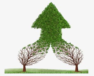 绿色树箭头免抠