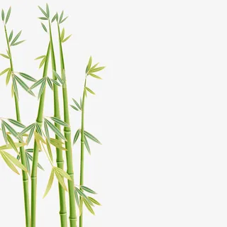 国潮中国风金边竹子免抠