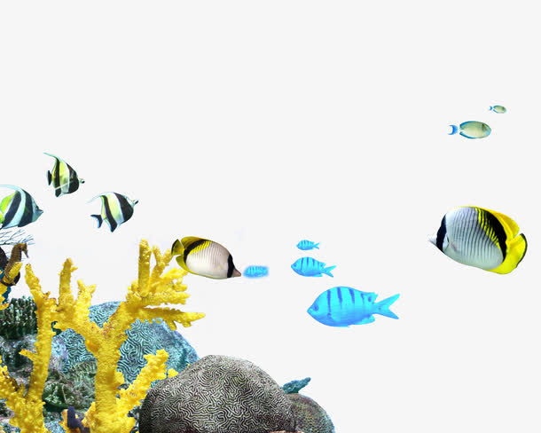 深海的水草素材图片免抠