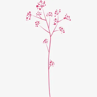 红树枝装饰图案免抠