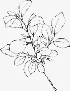 水墨花朵元素55免抠