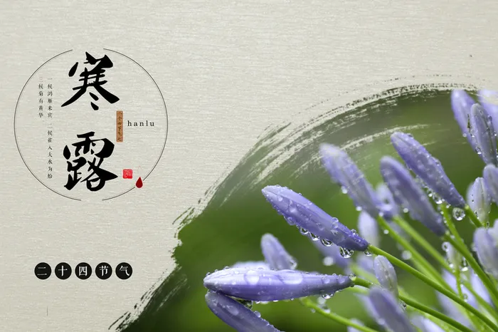 简约二十四节气寒露广告高清
