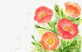 手绘路边野花免抠