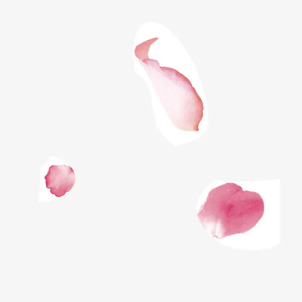 漂浮花瓣免抠