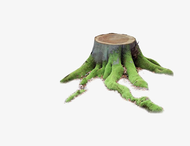 树干免抠