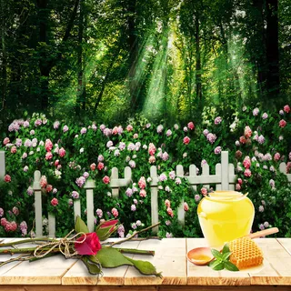 蜂蜜百花蜜PSD分层主图背景高清