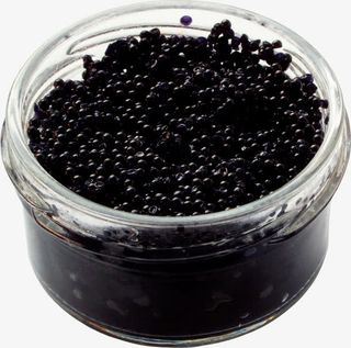 鱼子酱素材免费下载免抠