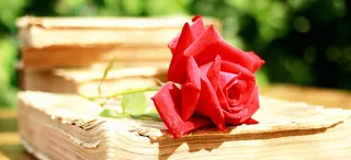 风景绿叶红花背景高清