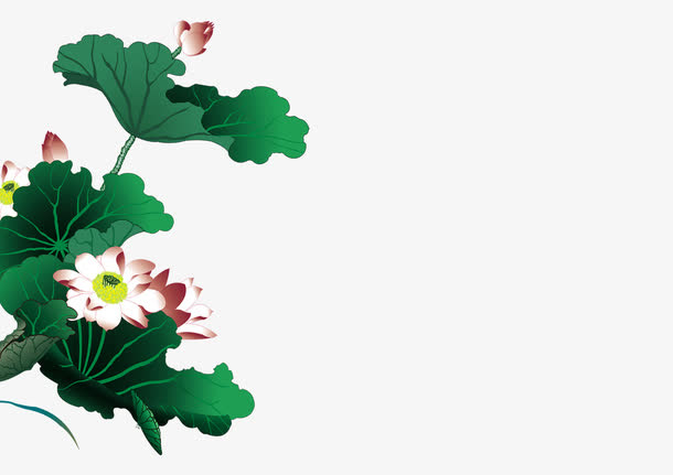 荷叶荷花免抠