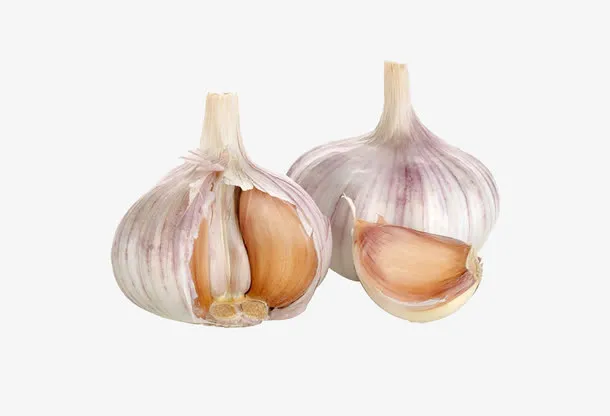 蒜头特写图片免抠