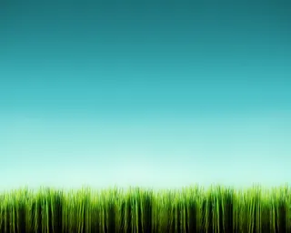 树叶,绿色,环免抠