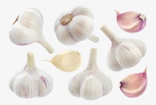 大蒜瓣蒜头蒜免抠