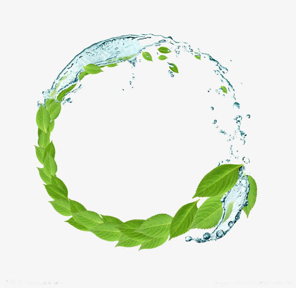 水波 素材 绿色植物 护肤免抠