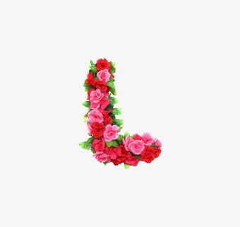 l英文字母花朵免抠