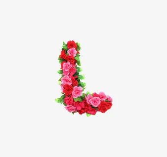 l英文字母花朵免抠