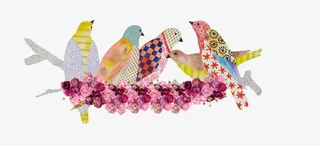 手绘小鸟树枝免抠