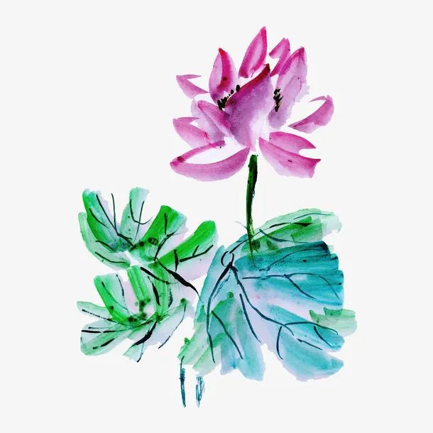 手绘水墨风格PNG睡莲免抠