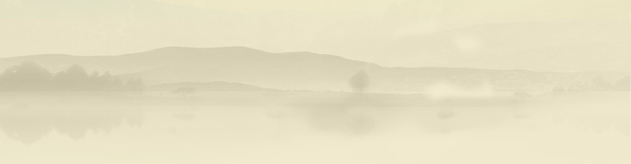 中医banner背景高清