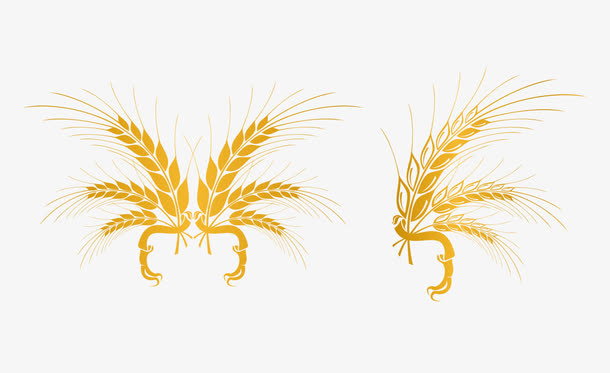 金色花纹png矢量免抠