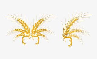 金色花纹png矢量免抠