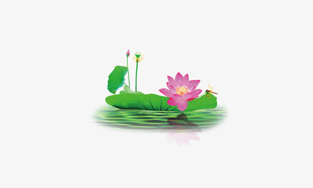 荷塘免抠