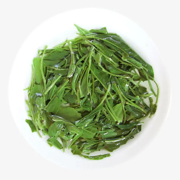 鲜嫩茶底毛尖免抠
